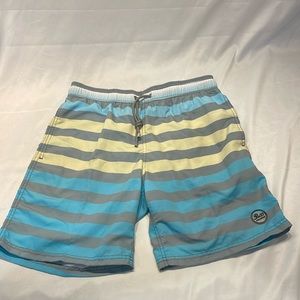 Pier 27 Large Swim Trunks Striped Colorful Beach Surf Vacation Lake Bathing Suit
